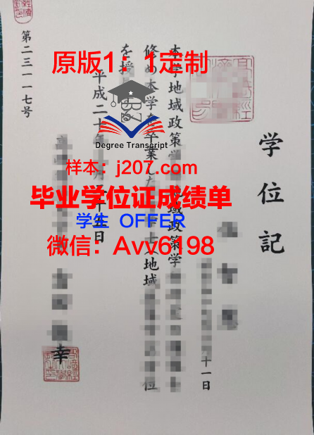 高崎经济大学毕业证定制：承载荣誉与梦想的匠心之作