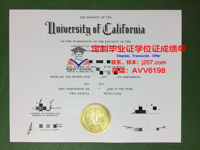 沙希德·贝赫什蒂大学本科毕业证：一份荣誉与责任的象征