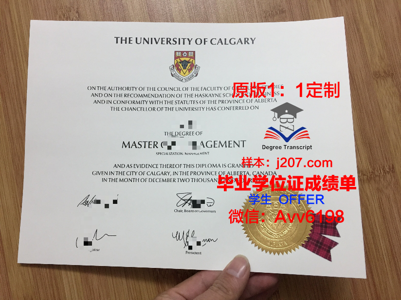 沙希德佐勒菲卡尔·阿里·布托科技学院研究生毕业证书
