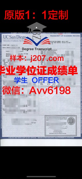 马耳他大学成绩单：国际认可的学术成果
