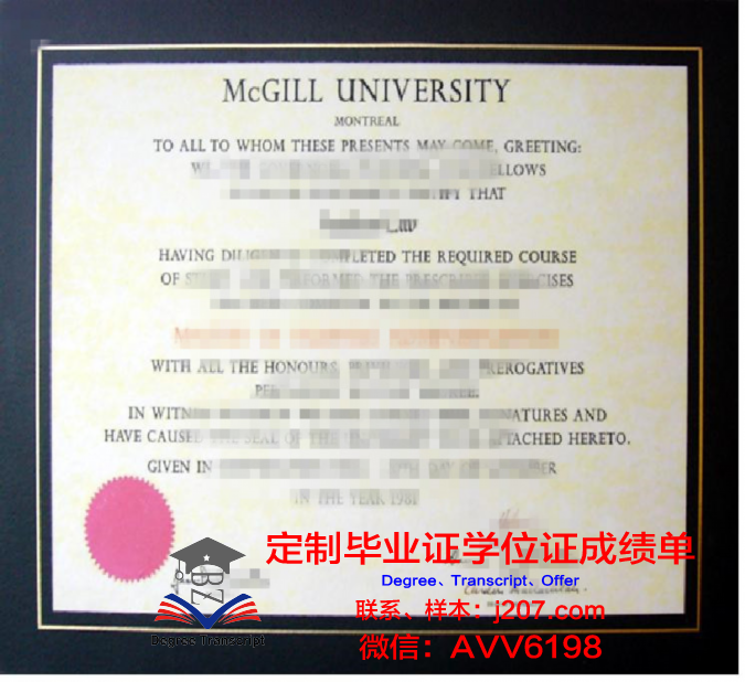 罗美硕士学位证书图片大全：探寻学术成就的辉煌篇章