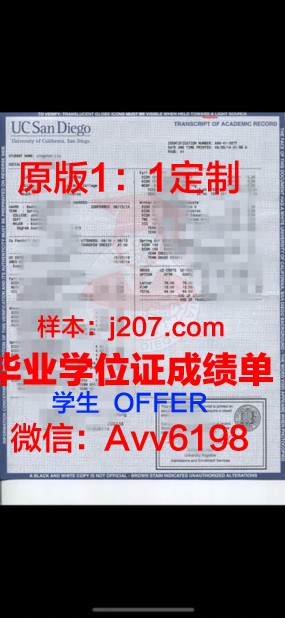 高中分数成绩单：揭示学生成长的一面镜子