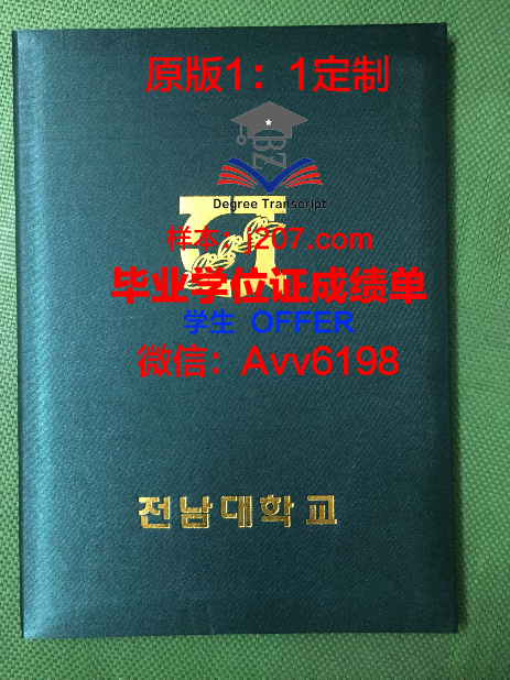 沙东工作室毕业证壳子