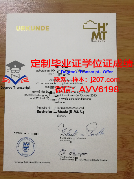 汉堡大学毕业证定制——探索学术诚信与市场需求之间的边界