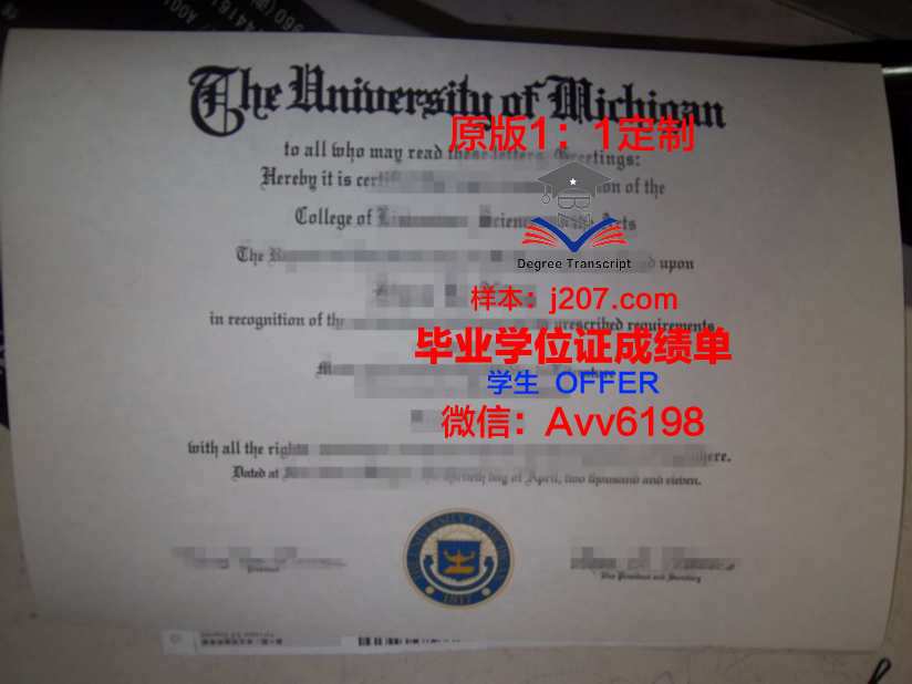 美因茨大学博士毕业证：一份跨越国界的学术荣耀