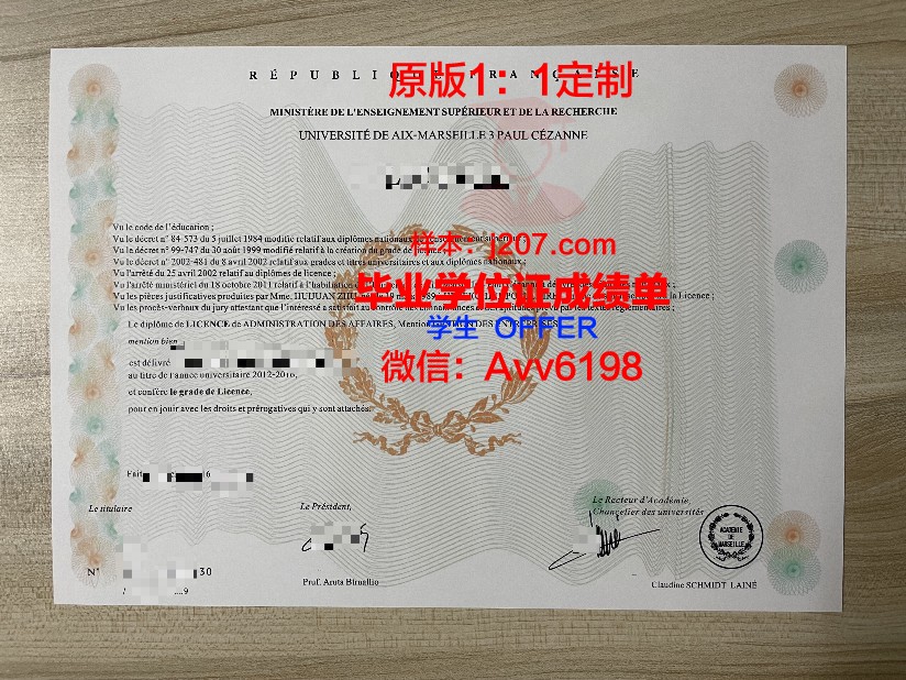 马赛大学毕业证书图片高清(马赛大学怎么样)