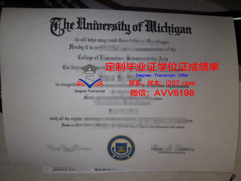 高等工业研究中心硕士毕业证(高工产业研究院院长很厉害吗)