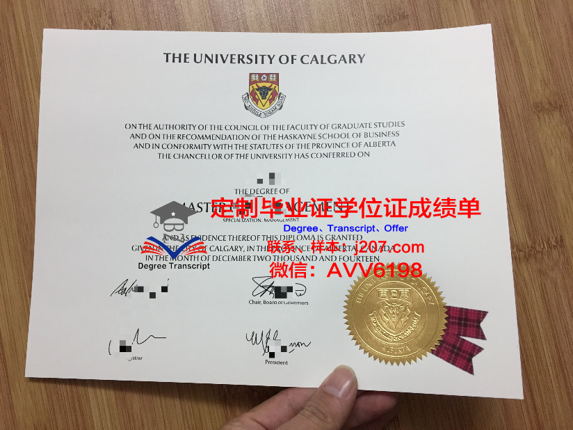 沙希德佐勒菲卡尔·阿里·布托科技学院毕业证外壳