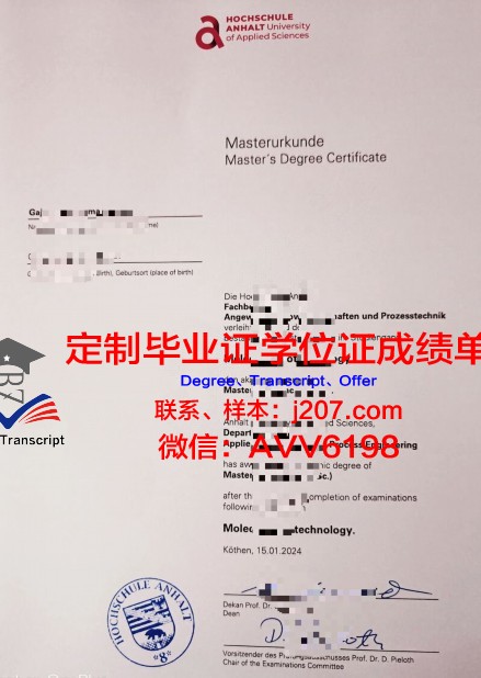 沃尔姆应用技术大学毕业证书图片(沃尔姆斯电器有限公司)