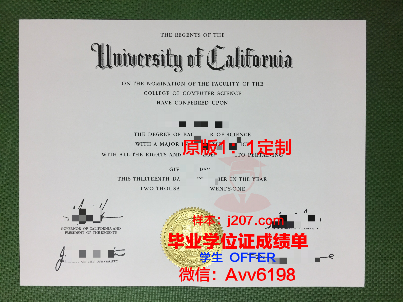 罗大博士毕业证：一份承载知识与荣誉的证书