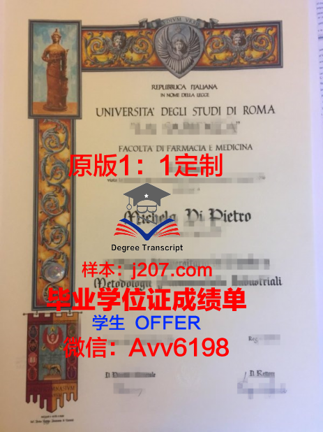 罗马第三大学博士毕业证书(罗马第三大学博士毕业证书怎么拿)