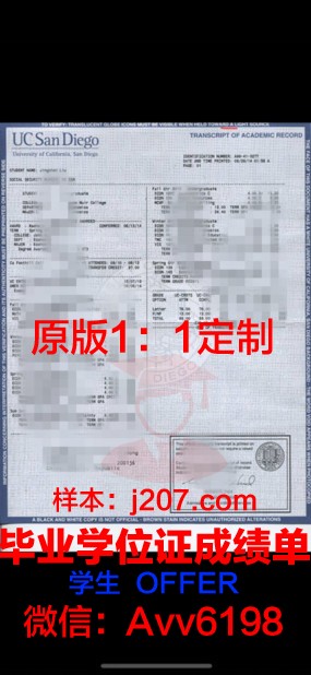 高等学校成绩单图片：记录学子成长足迹的重要凭证