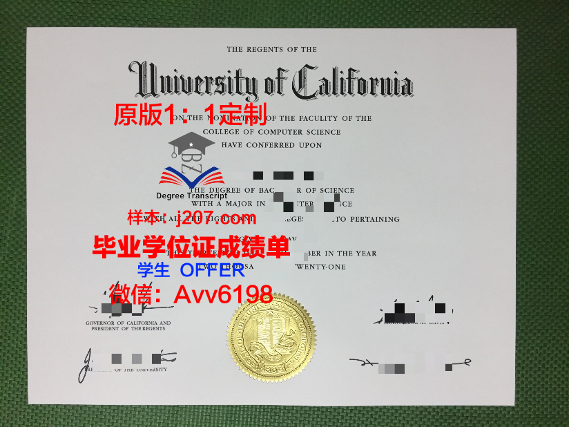 阿塞拜疆理工大学毕业证是什么样呢(阿塞拜疆公派留学)