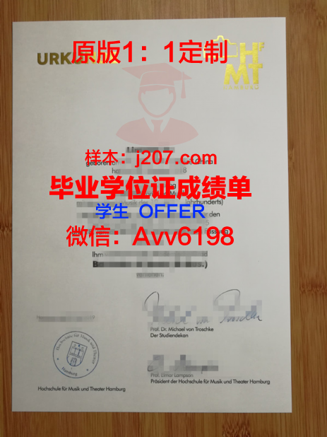 汉堡造型艺术学院毕业证外壳(汉堡造型图片)