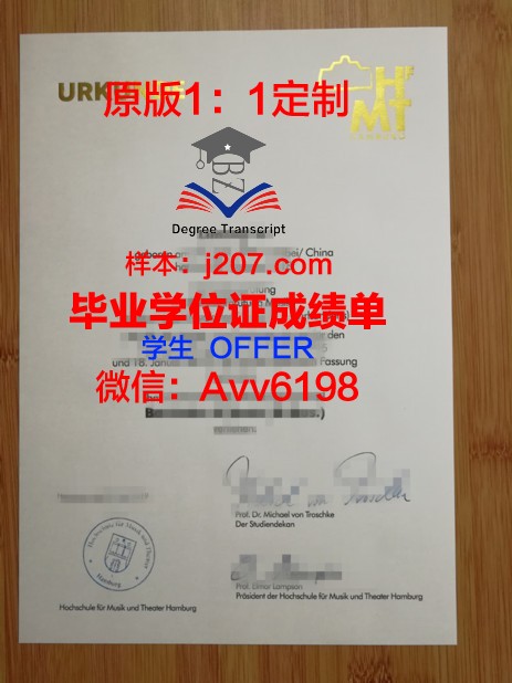 汉堡-哈尔堡工业大学毕业证成绩单：一张纸的重量