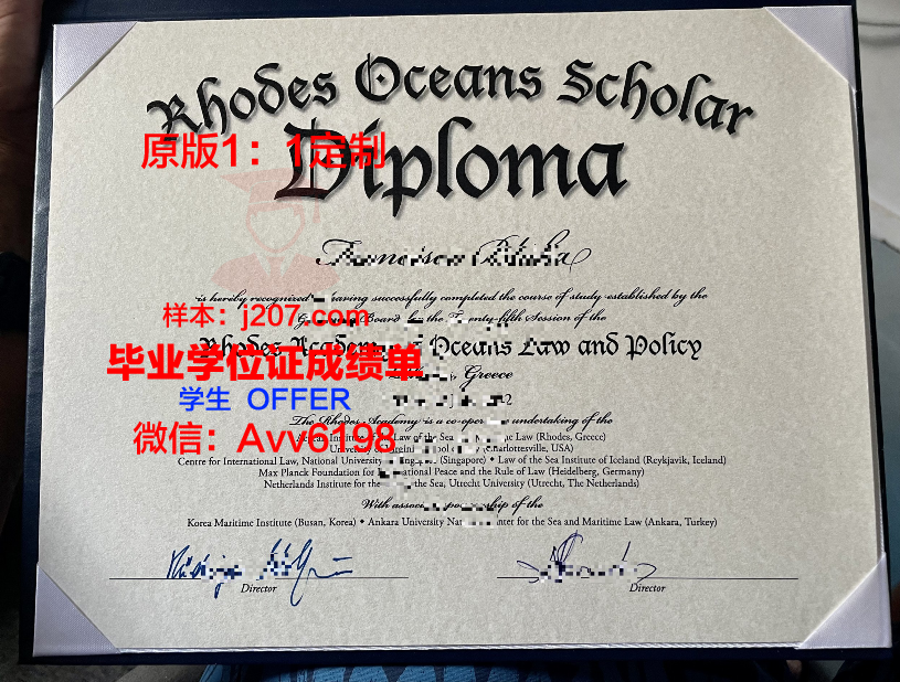 罗德斯大学毕业证原版(罗德奖学金知乎)