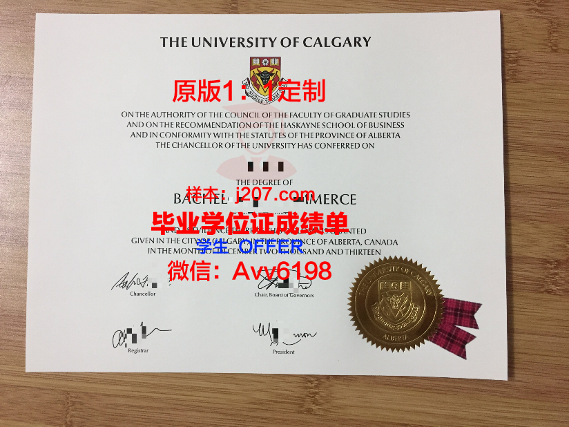 沙希德佐勒菲卡尔·阿里·布托科技学院研究生毕业证书