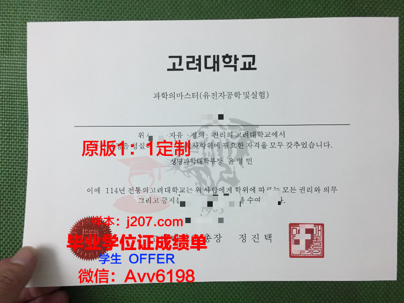 高丽大学成绩单怎样打印(高丽大学成绩单怎样打印的)