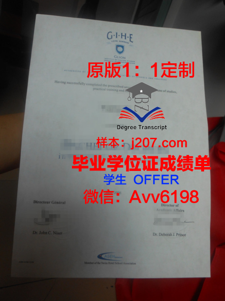 高师里昂成绩单：一份具有国际视野的学术评价