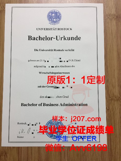 罗斯托克大学毕业证好找工作吗(罗斯托克大学强势专业)