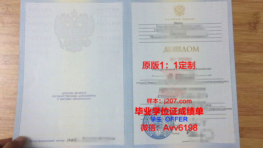 沃罗涅日国立师范大学成绩单：探寻俄罗斯教育质量的秘密
