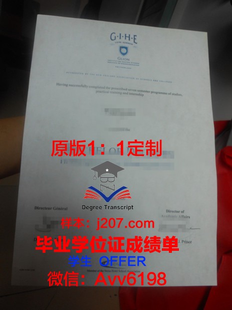 高师里昂成绩单：一份具有国际视野的学术评价
