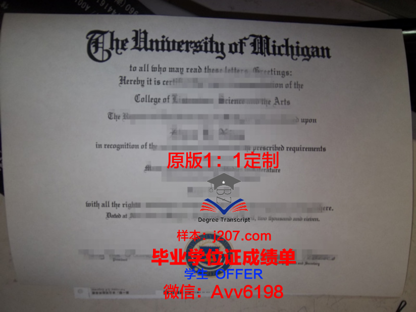 罗萨里奥国立大学毕业证等级(萨里国际学院毕业证)