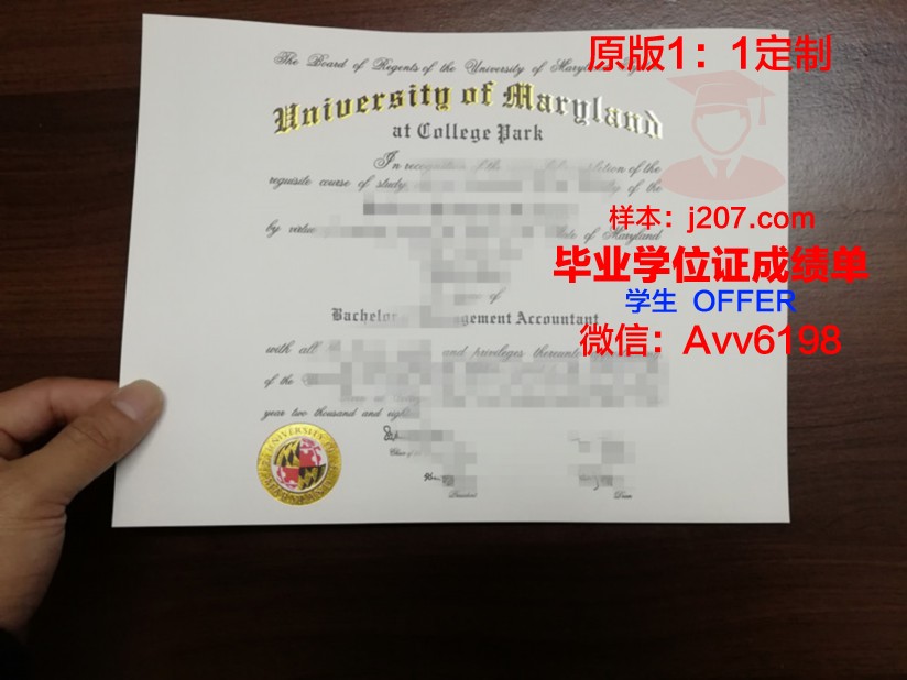 马里兰大学巴尔的摩分校毕业证Diploma文凭