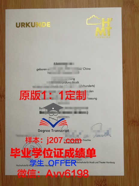汉堡造型艺术学院毕业证外壳(汉堡造型图片)
