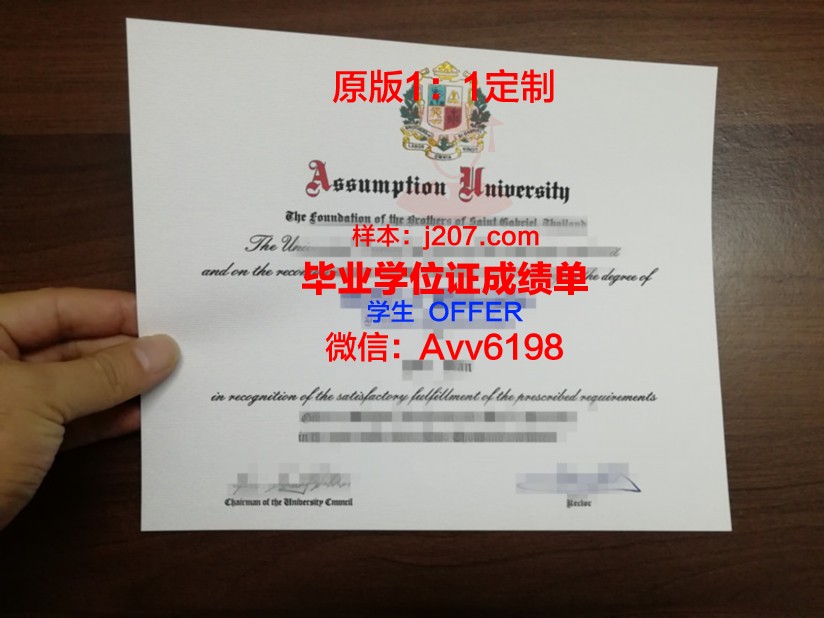 美利坚大学毕业证书图片模板(美利坚大学吧)