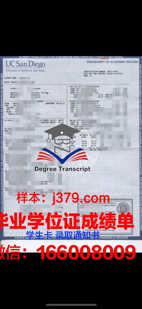 盖章的本科成绩单：一段青春的见证