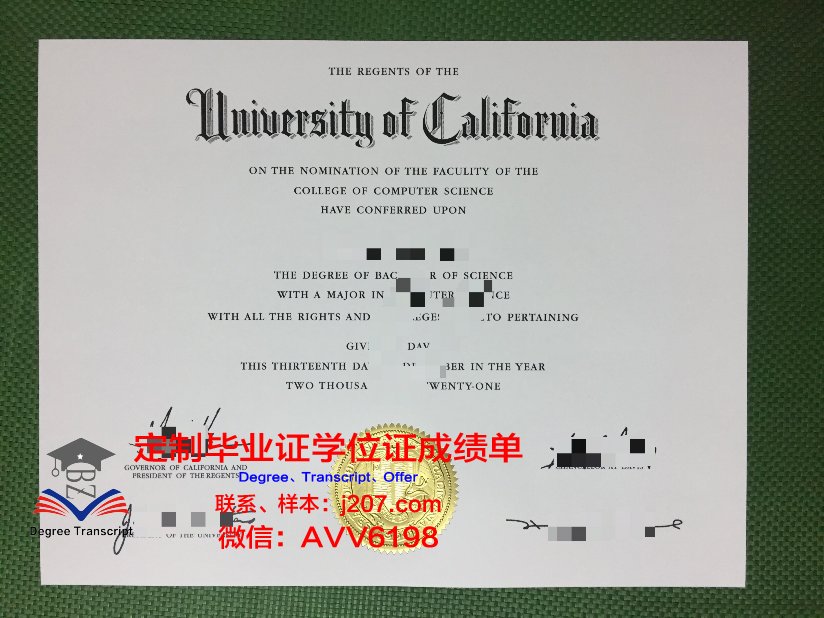 江陵岭东大学博士毕业证(东南大学博士毕业证)