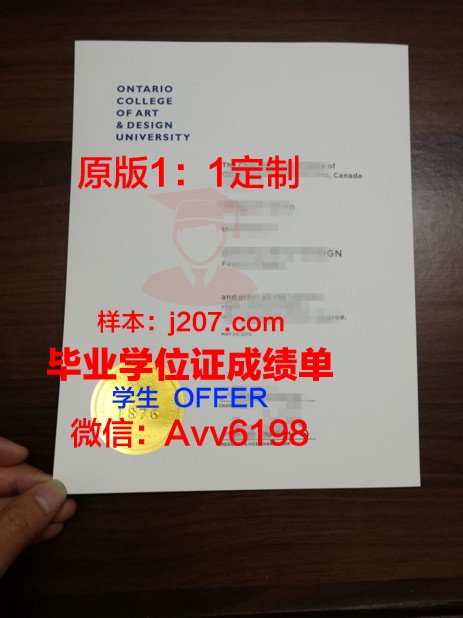 高等现代艺术设计学院毕业证案例(艺术设计学院毕业设计)