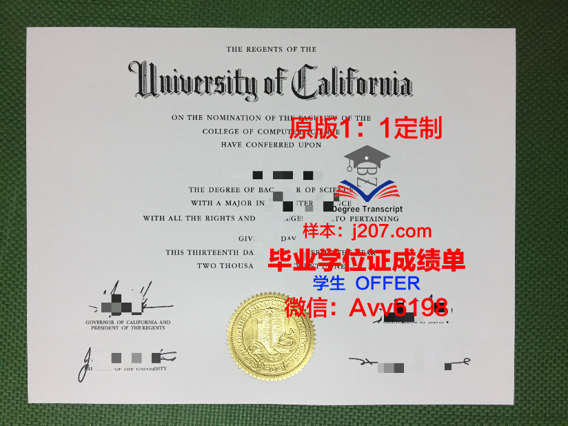 江陵岭东大学毕业证长什么样
