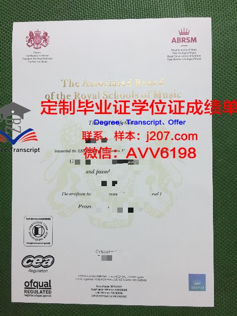 罗斯托夫国立音乐学院毕业证外壳(罗斯托夫国立建筑与艺术学院)