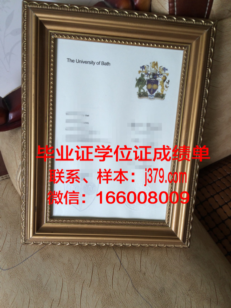 巴斯斯巴大学本科毕业证 Bath Spa University diploma