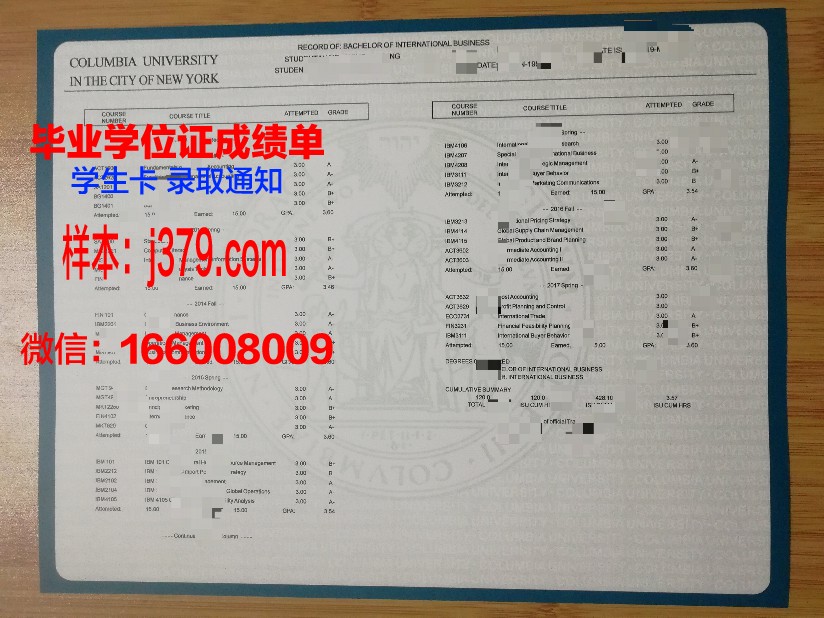 神大成绩单：一份揭示虚拟世界成就的神奇清单