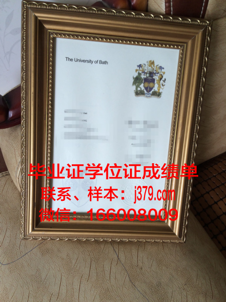 巴斯大学毕业证Diploma文凭