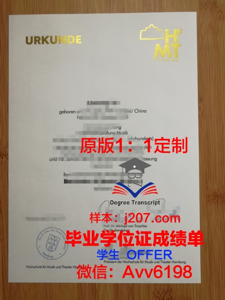 汉堡品牌应用技术大学成绩单(汉堡应用技术大学世界排名)