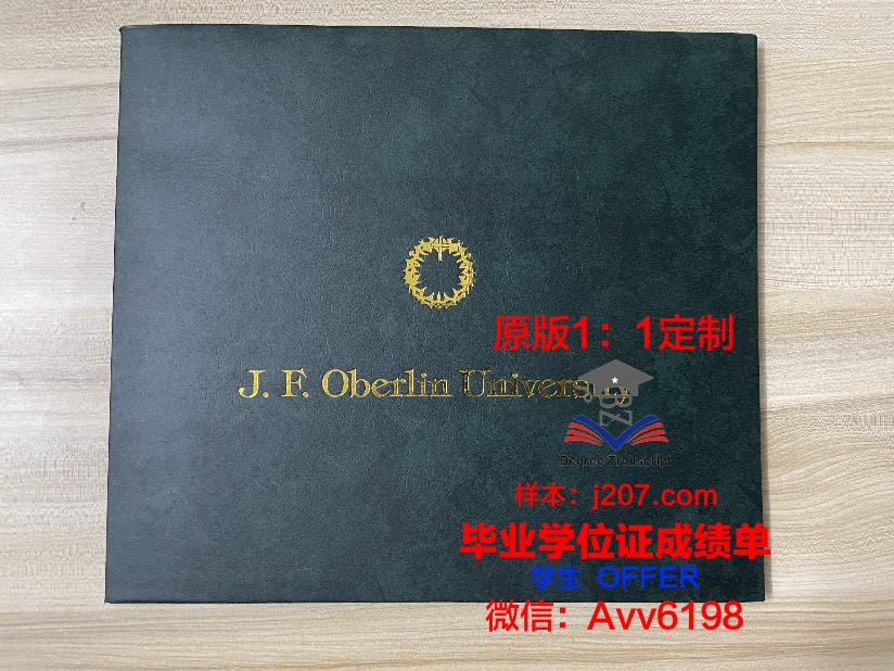 罗斯托夫国立经济大学diploma证书(罗斯托夫有哪些大学)