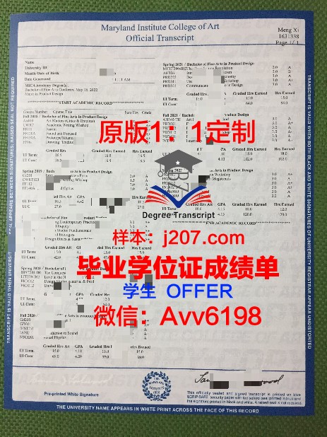 马里兰艺术学院研究生毕业证(马里兰艺术院校)
