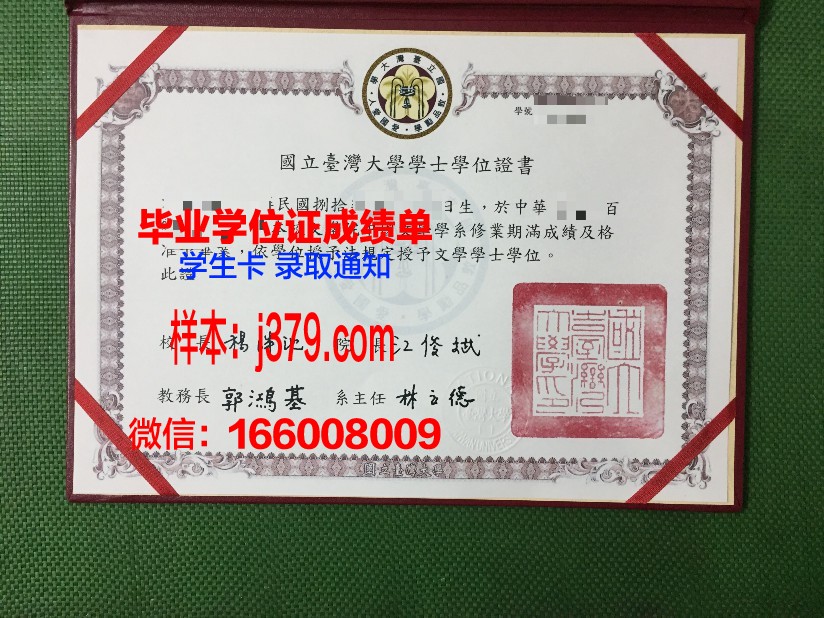 秋明国立大学毕业证书图片(秋明国立大学怎么样)