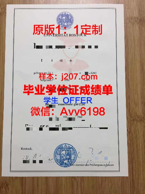 罗斯托克大学硕士毕业证(罗斯托夫国立大学排名)