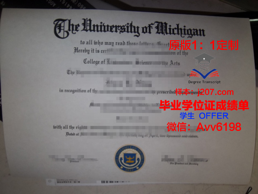 马耳他大学本科毕业证：一份跨越国界的荣誉证书