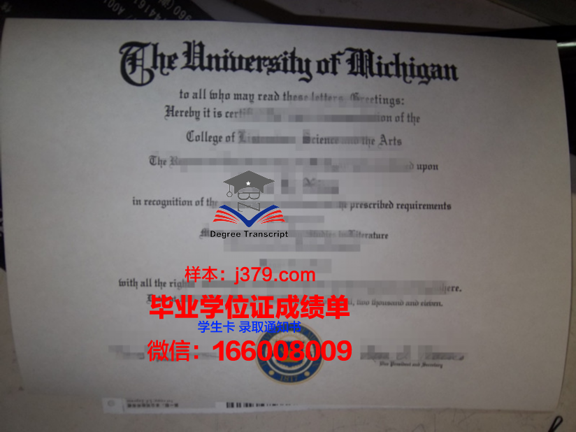 种智院大学毕业证丢失怎么补办