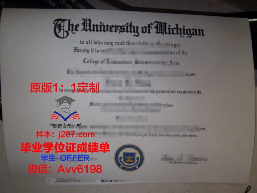 沙希大毕业证：承载荣誉与梦想的证书