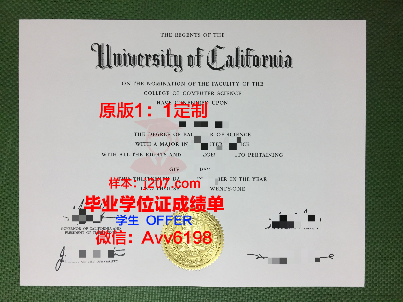 罗大毕业证：承载荣誉与梦想的通行证