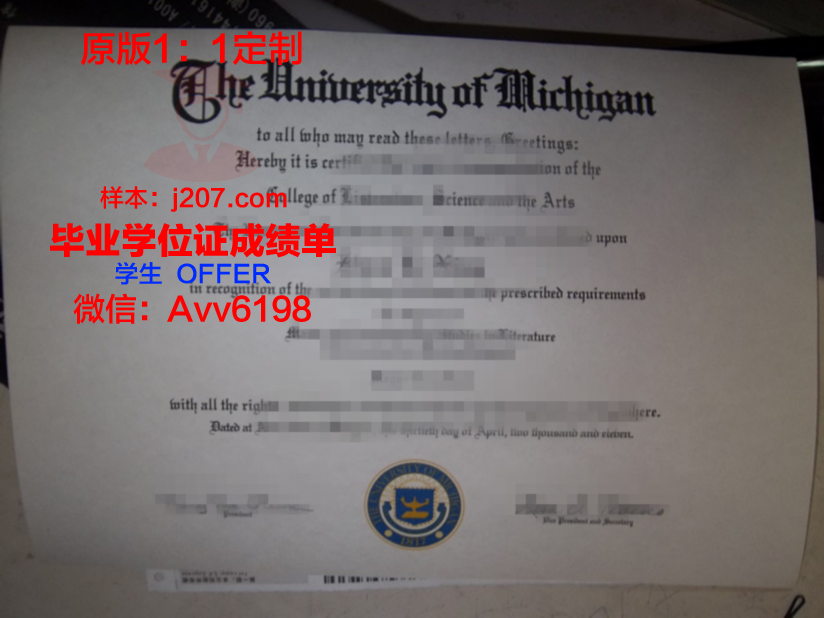 罗斯福大学毕业证