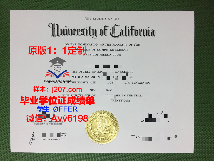 阿大硕士毕业证图片大全：见证青春与梦想的印记