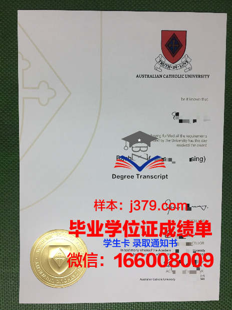 巴拉那天主教大学硕士毕业证书样本